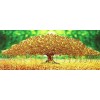 Money Tree | 5D Diamond Painting | Partial | Special-shaped Diamond