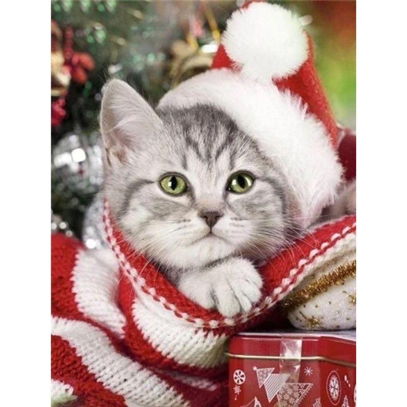 Merry Christmas  | S...