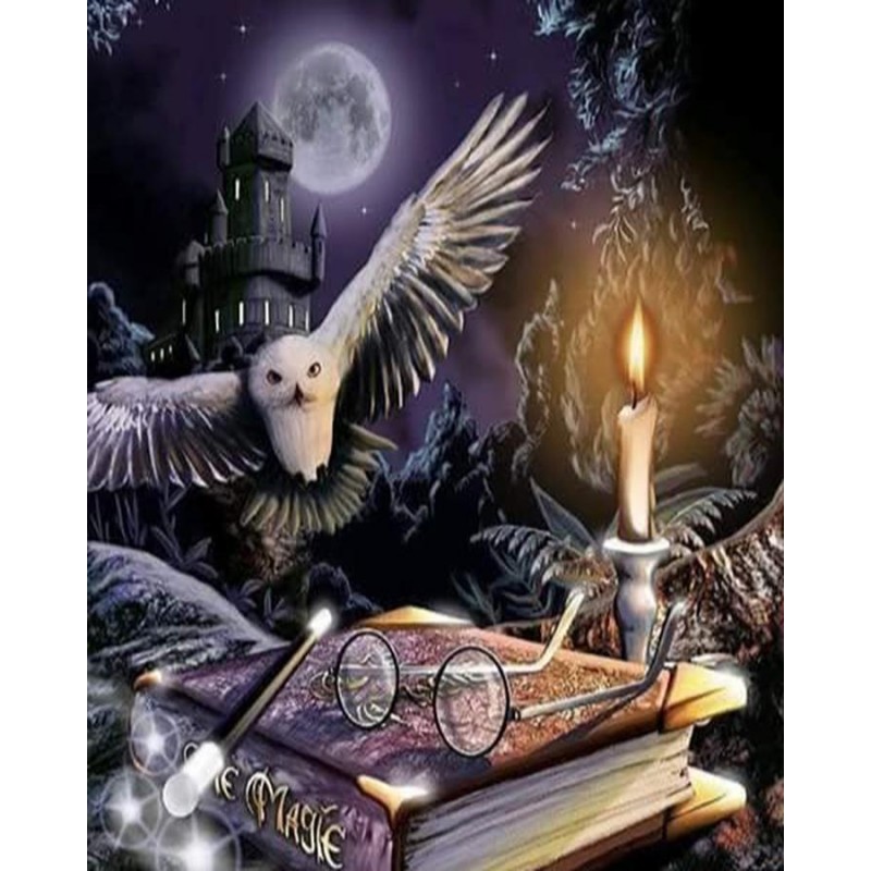Magical Owls | 5D Di...