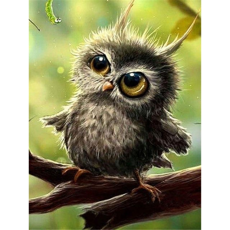 Owls | 5D Diamond Pa...