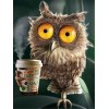 Owls | 5D Diamond Painting | Square Diamond