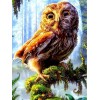 Owls | 5D Diamond Painting | Square Diamond