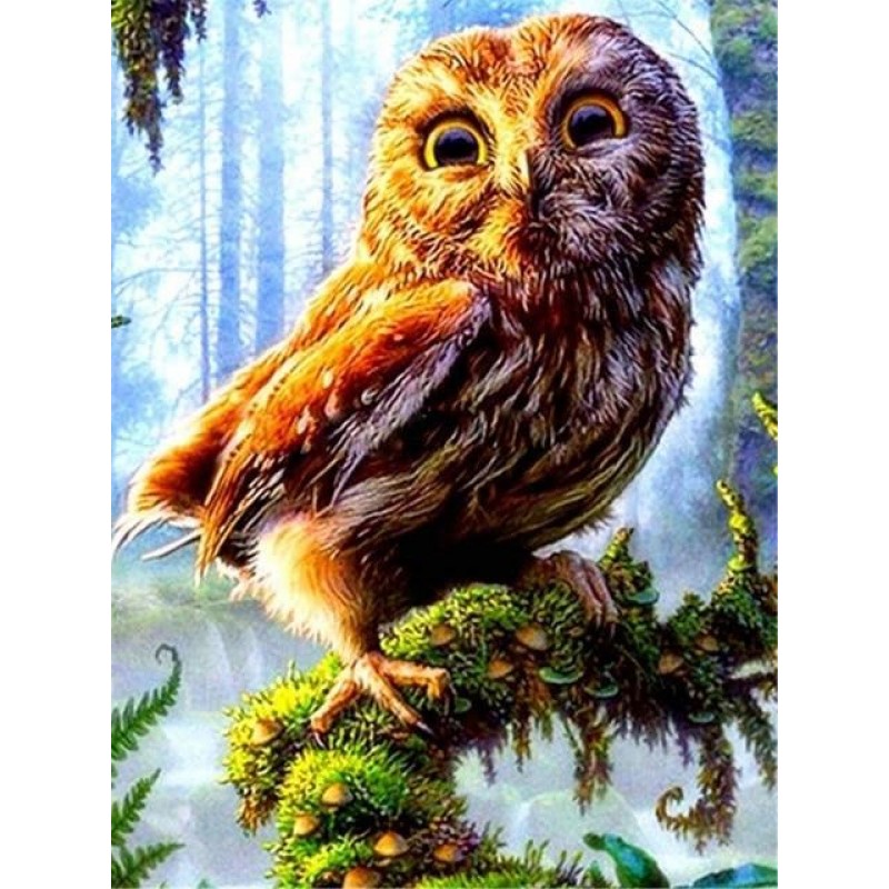 Owls | 5D Diamond Pa...