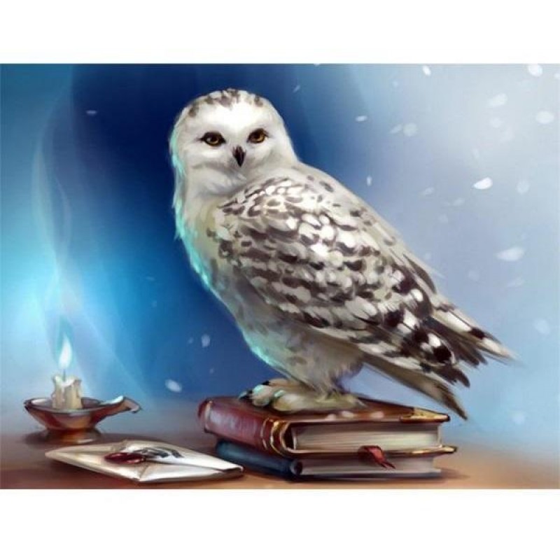 Owls | 5D Diamond Pa...