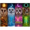 Owls | 5D Diamond Painting | Square Diamond