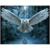 Owls | 5D Diamond Painting | Square Diamond