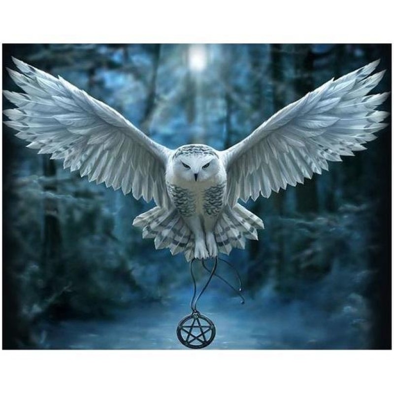 Owls | 5D Diamond Pa...