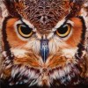 Owls | 5D Diamond Painting | Square Diamond