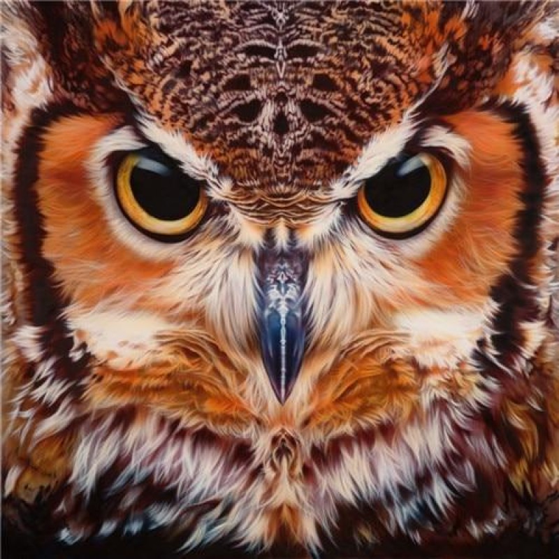 Owls | 5D Diamond Pa...