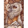 Owls | 5D Diamond Painting | Round Diamond