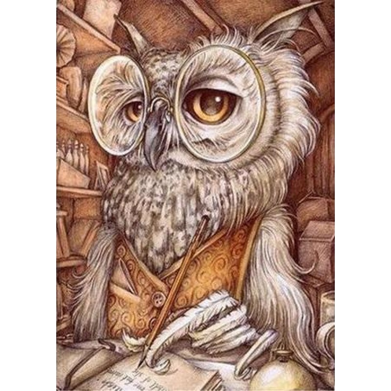 Owls | 5D Diamond Pa...