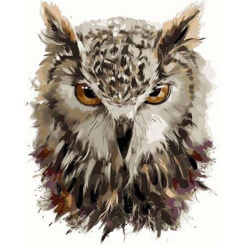 Owls | 5D Diamond Pa...