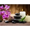 Orchid Stone | 5D Diamond Painting | Square Diamond