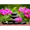 Orchid Stone | 5D Diamond Painting | Square Diamond