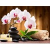 Orchid Stone | 5D Diamond Painting | Square Diamond