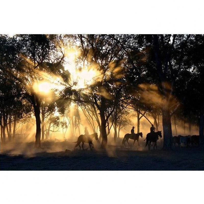 Mystical Forest | 5D...
