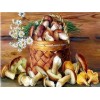 Mushroom | 5D Diamond Painting | Square Diamond