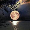 Moonshine | 5D Diamond Painting | Square Diamond