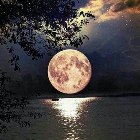 Moonshine | 5D Diamond Painting | Square Diamond