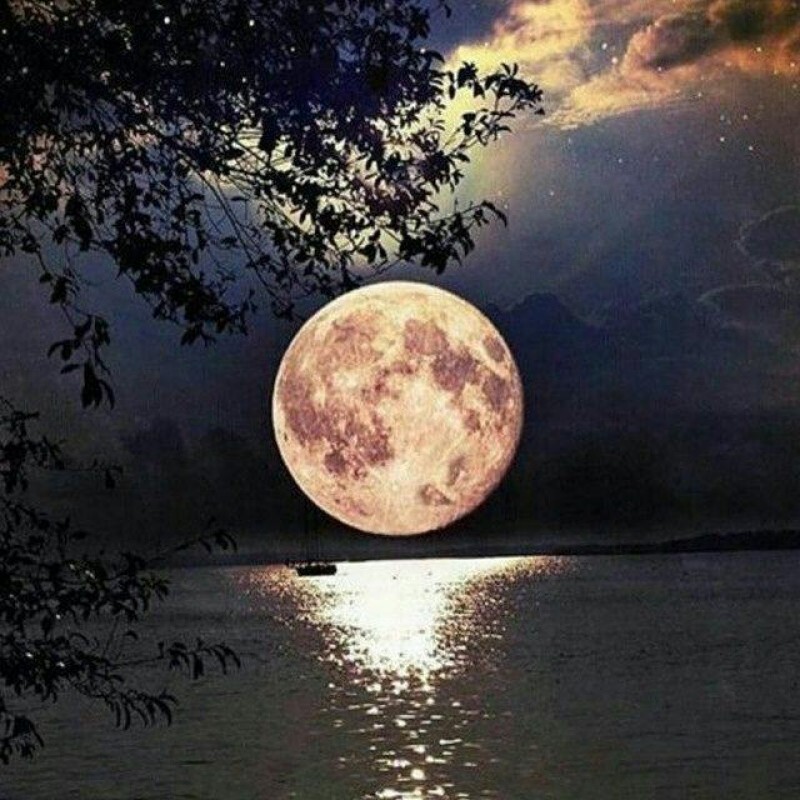 Moonshine | 5D Diamo...