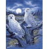 Owls | 5D Diamond Painting | Square Diamond