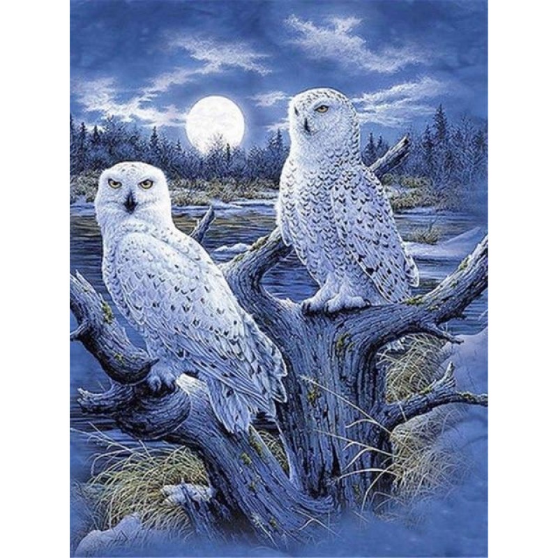 Owls | 5D Diamond Pa...