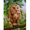 Owls | 5D Diamond Painting | Square Diamond