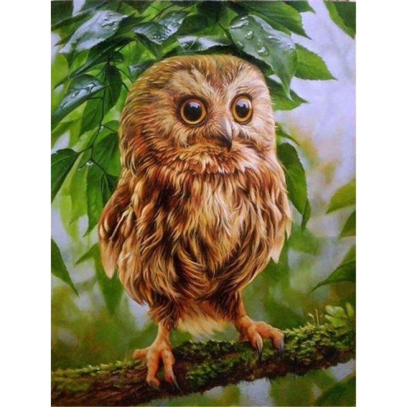 Owls | 5D Diamond Pa...
