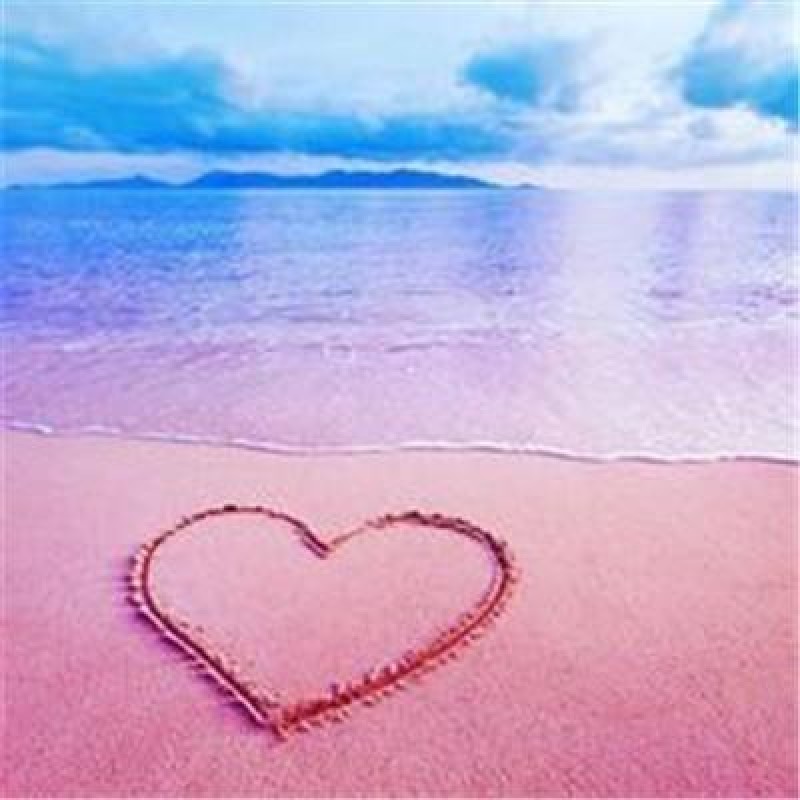 Love the Beach | 5D ...