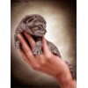kitty | 5D Diamond Painting | Round Diamond