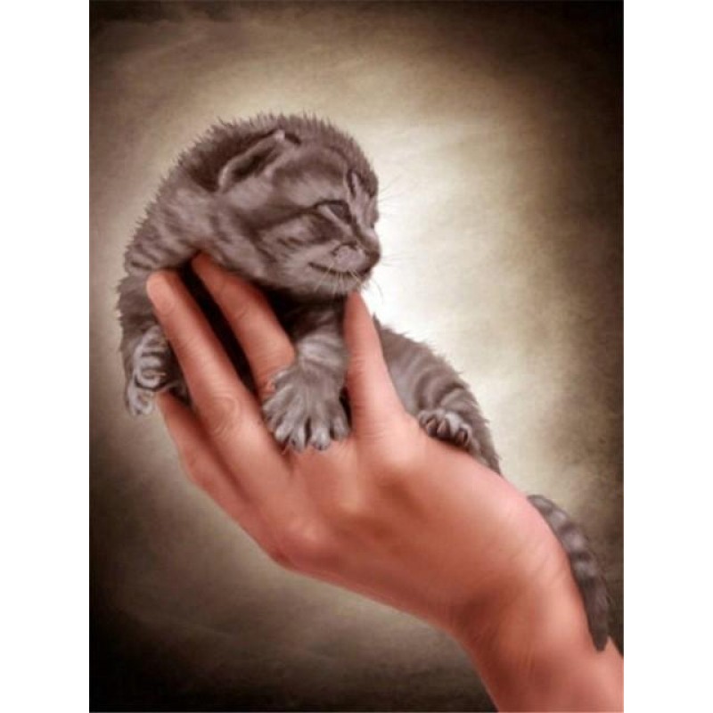 kitty | 5D Diamond P...