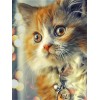 Kitty | 5D Diamond Painting | Round Diamond