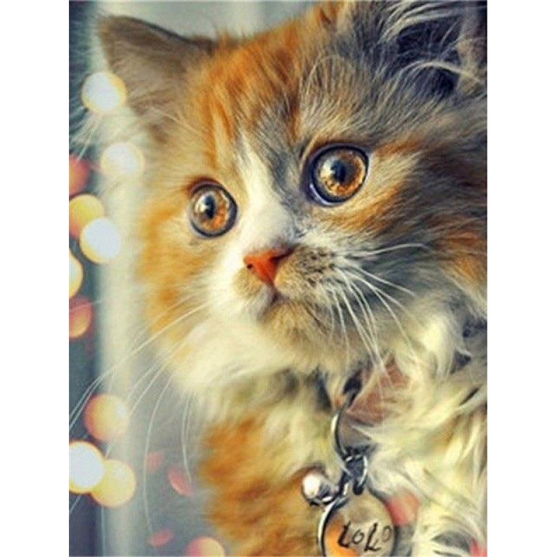 Kitty | 5D Diamond P...