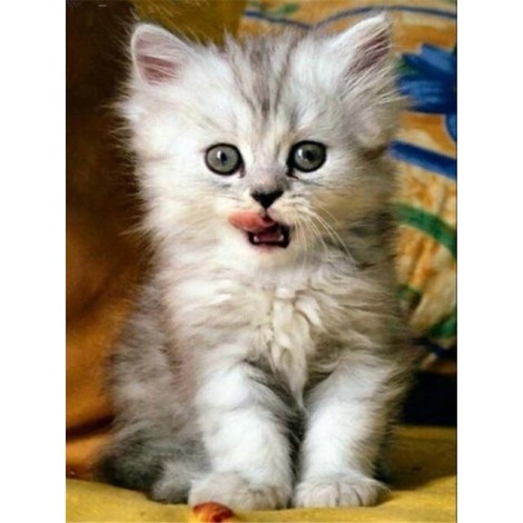 Kitty | 5D Diamond Painting | Round Diamond