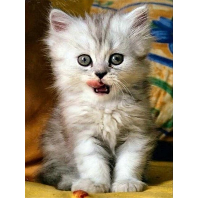Kitty | 5D Diamond P...
