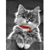 Kitty | 5D Diamond Painting | Round Diamond