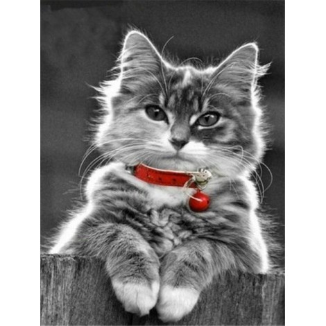 Kitty | 5D Diamond Painting | Round Diamond
