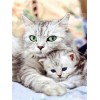 Kitties | 5D Diamond Painting | Round Diamond