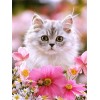 Kitties | 5D Diamond Painting | Round Diamond