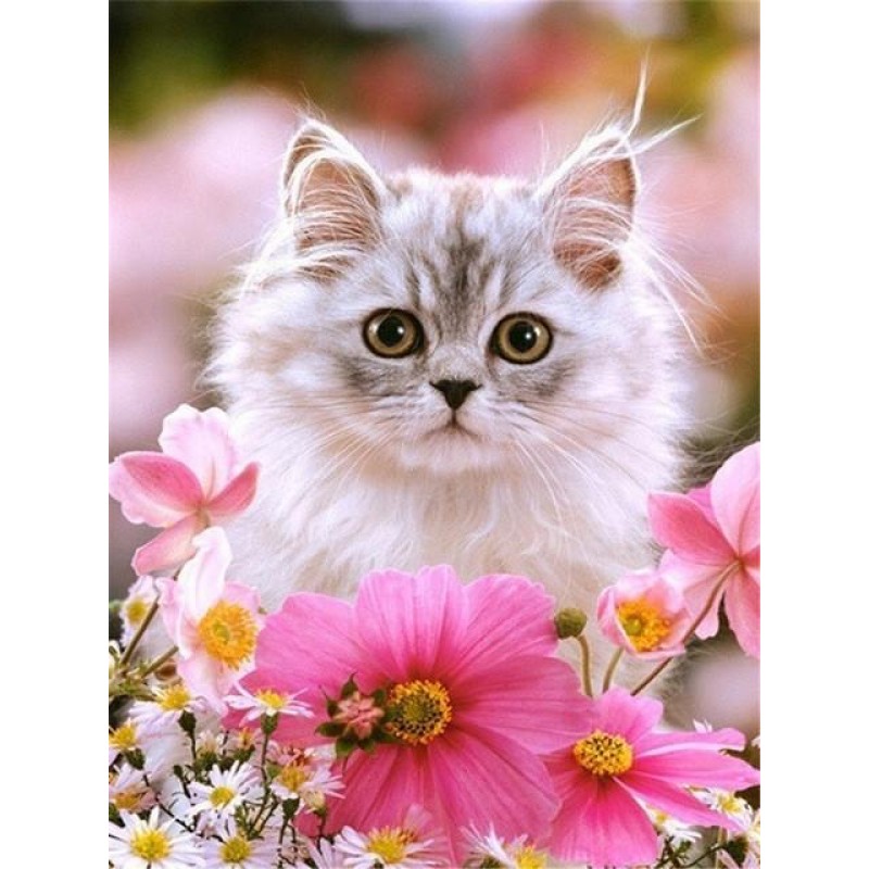 Kitties | 5D Diamond...