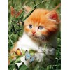 Kitties | 5D Diamond Painting | Round Diamond