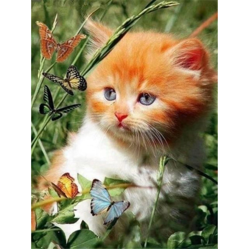 Kitties | 5D Diamond...