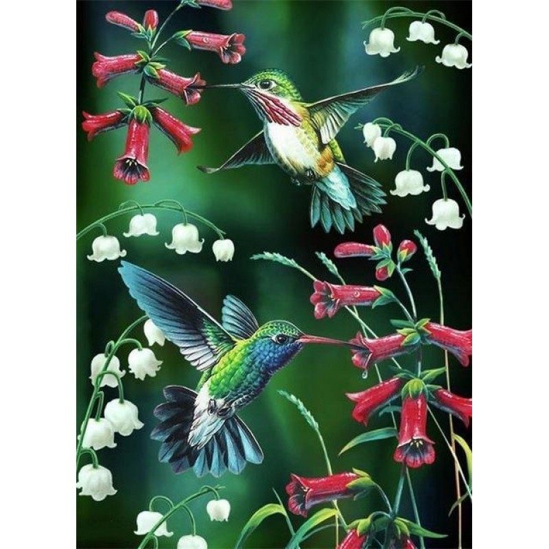 Hummingbird | 5D Diamond ...