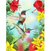 Hummingbird | 5D Diamond Painting | Square/Round Diamond