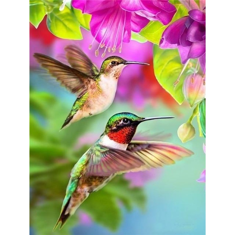 Hummingbird | 5D Dia...