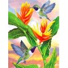 Hummingbird | 5D Diamond Painting | Square/Round Diamond