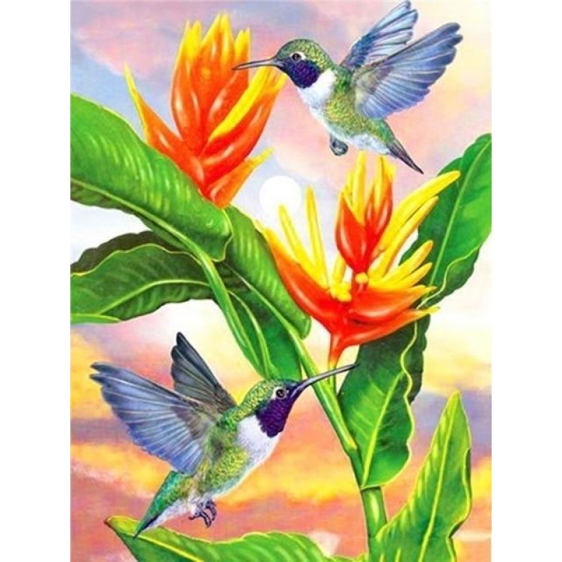 Hummingbird | 5D Dia...