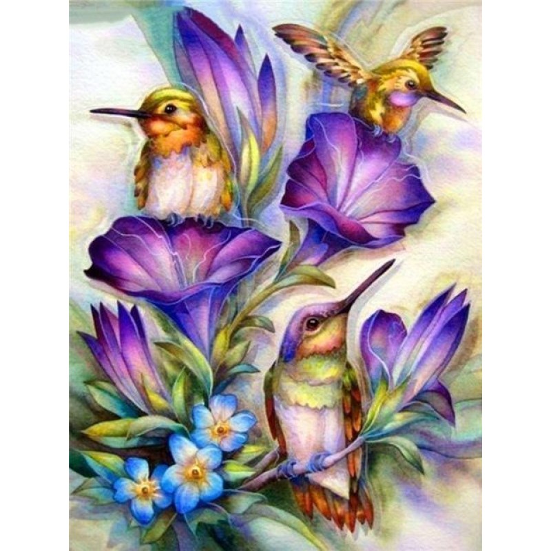 Hummingbird | 5D Dia...