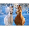 Horses | 5D Diamond Painting | Square Diamond