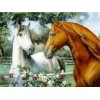 Horses | 5D Diamond Painting | Square Diamond